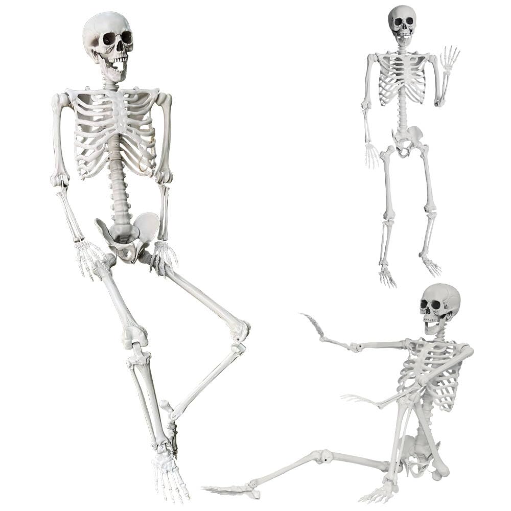 5.4Ft Life Size Skeleton with Movable Joints F92271