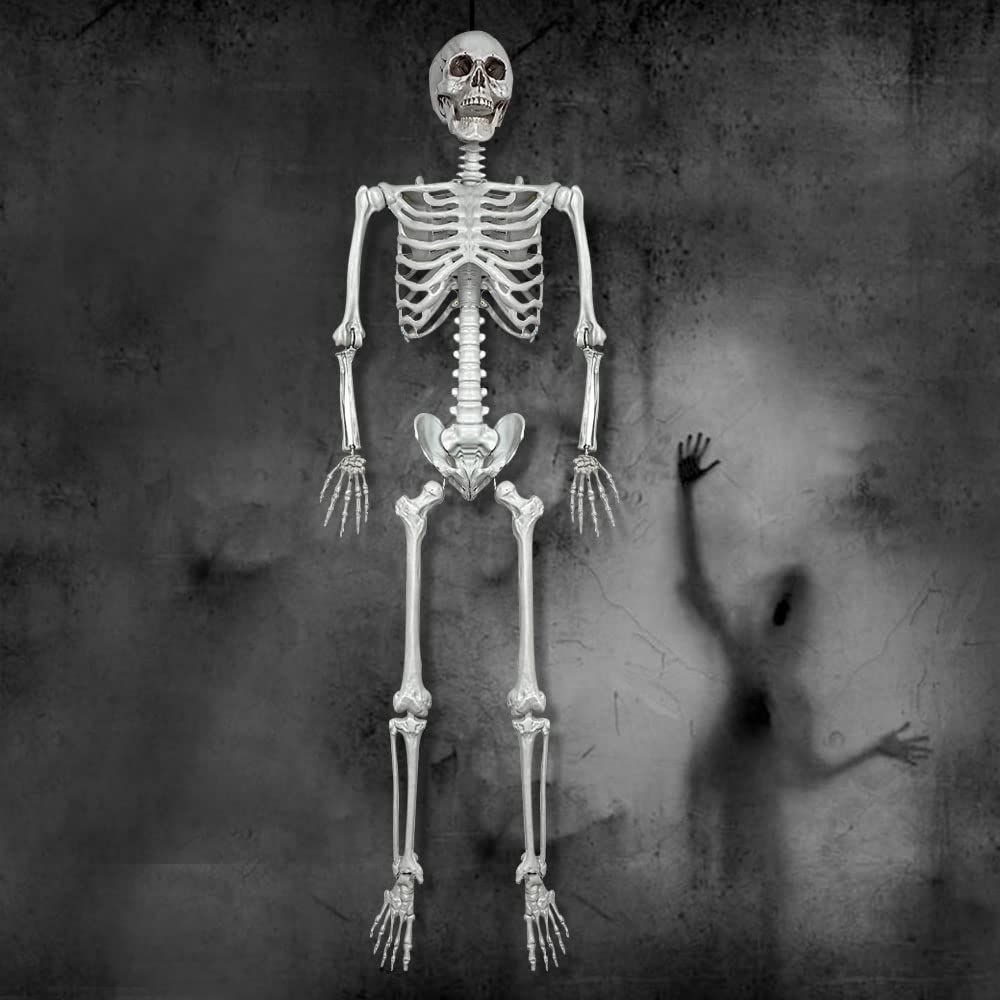 5.4Ft Life Size Skeleton with Movable Joints F92271