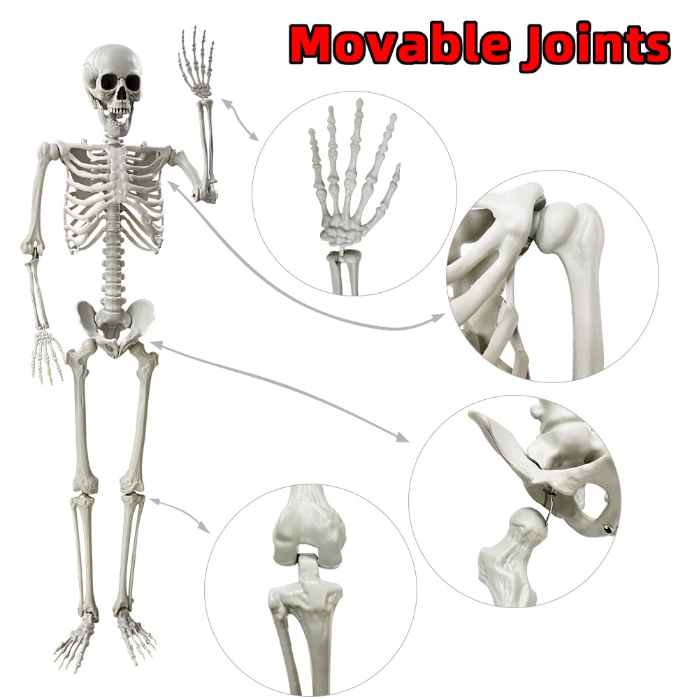 5.4Ft Life Size Skeleton with Movable Joints F92271