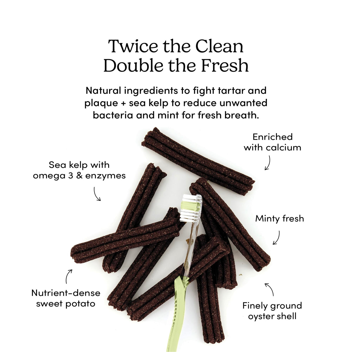 Double Fresh Dental Sticks 9.5oz P177