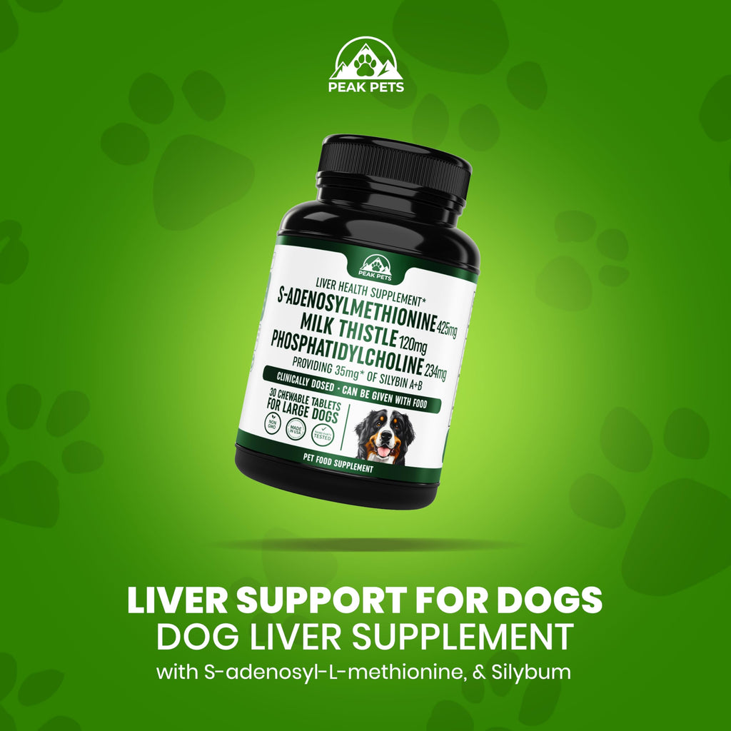 Liver Support Supplement for Large Dogs with Milk Thistle - 30 Chewable Tablets N86587