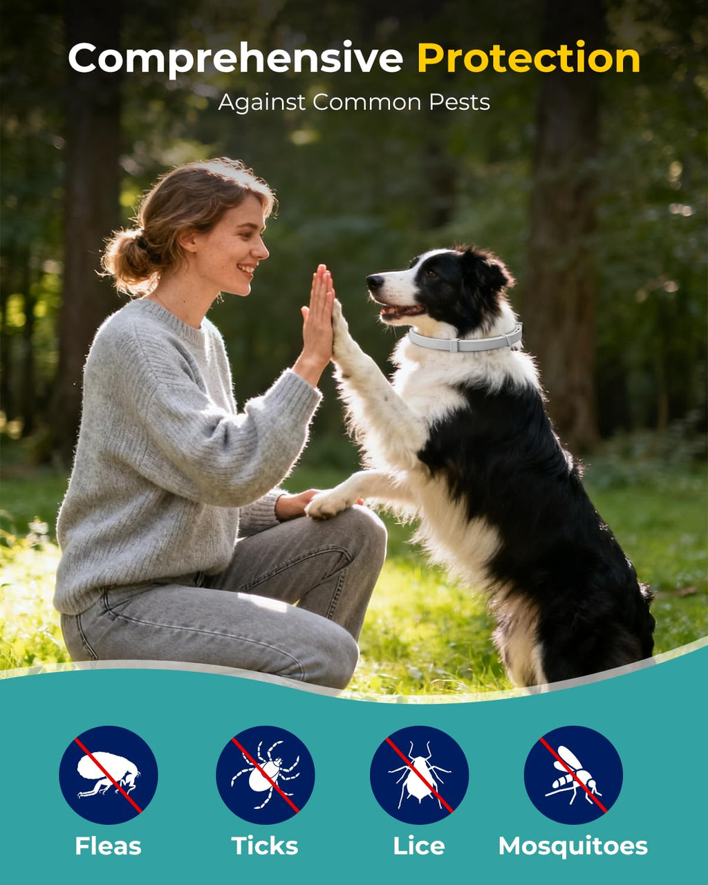 4 Pack Flea and Tick Collar for Small Dogs Under 18 lbs O872
