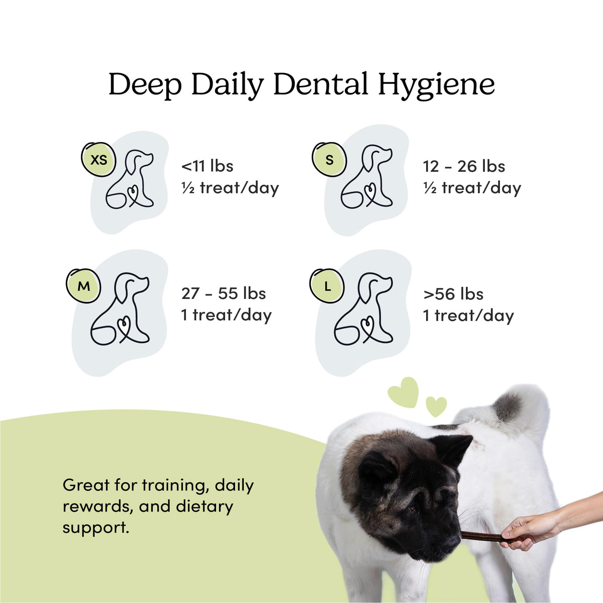 Double Fresh Dental Sticks 9.5oz P177
