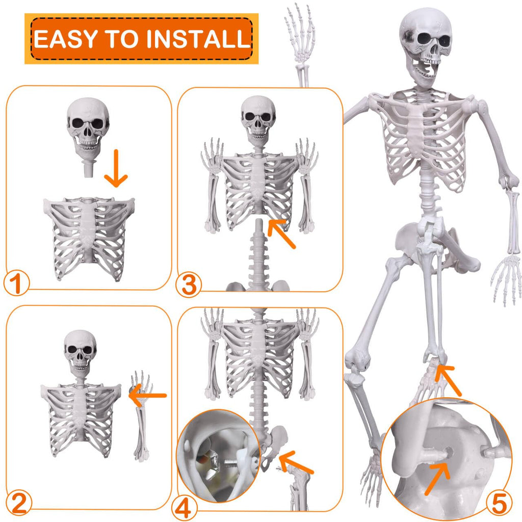 5.4Ft Life Size Skeleton with Movable Joints F92271