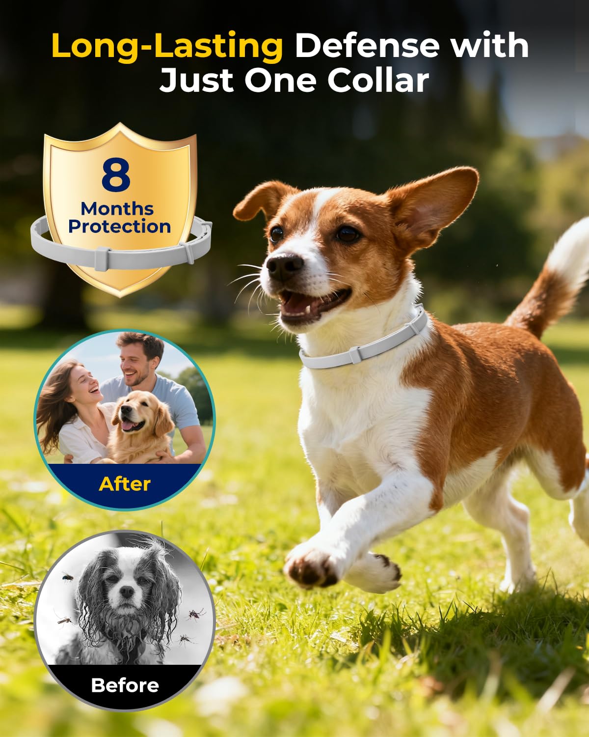 4 Pack Flea and Tick Collar for Small Dogs Under 18 lbs O872
