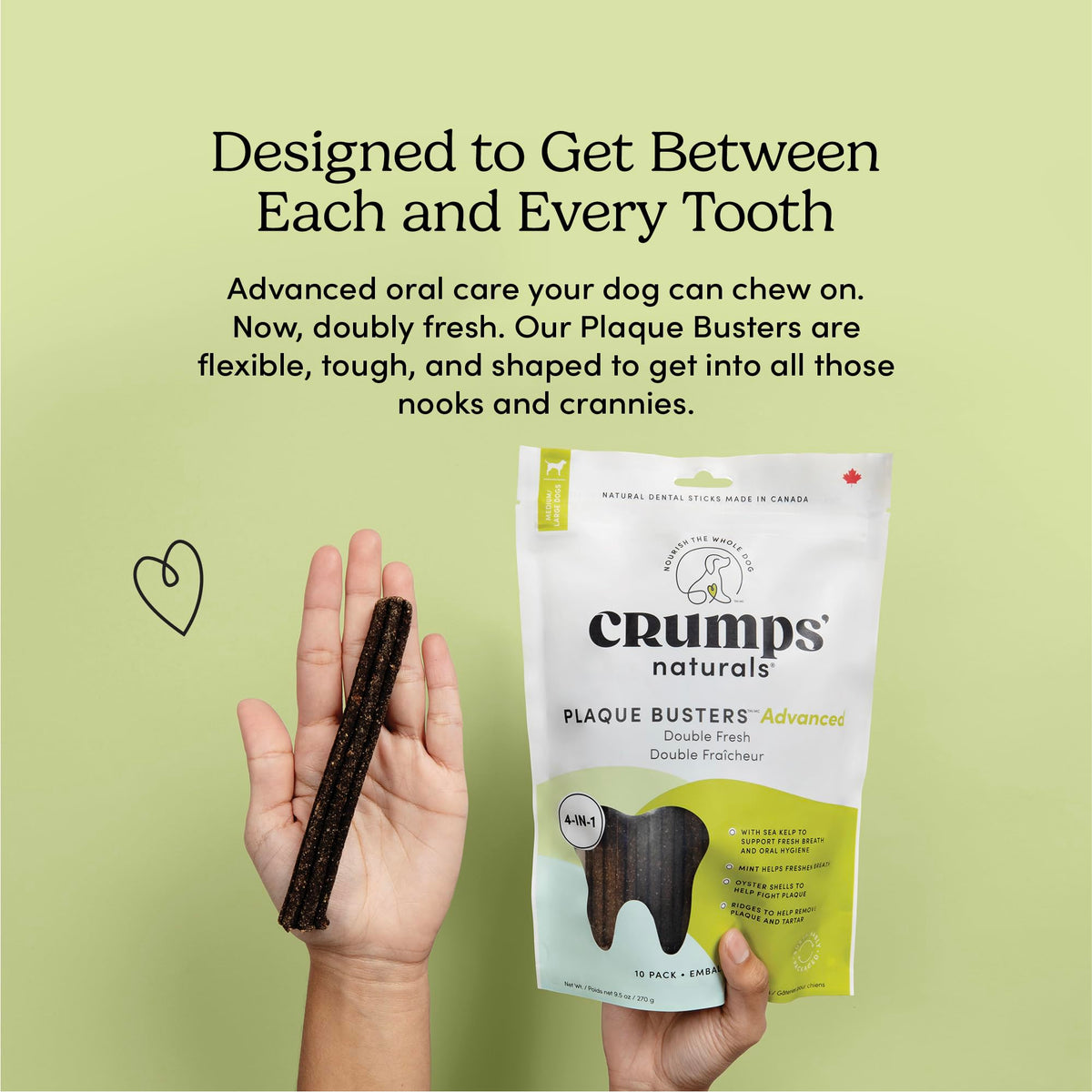 Double Fresh Dental Sticks 9.5oz P177