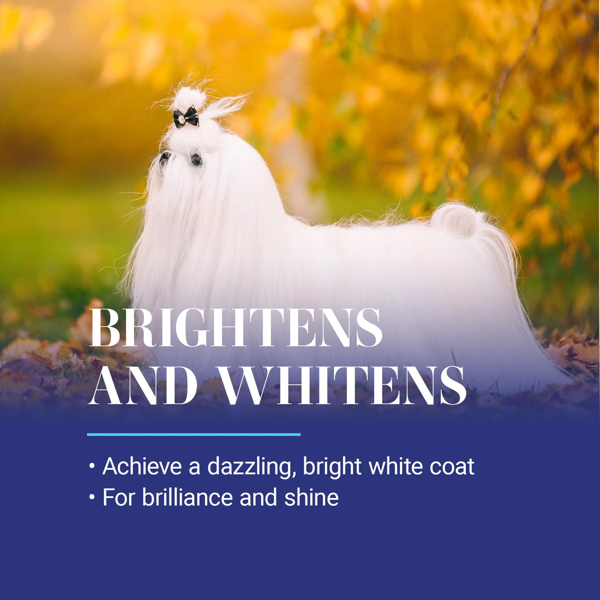 White Dog Shampoo 16OZ U19608