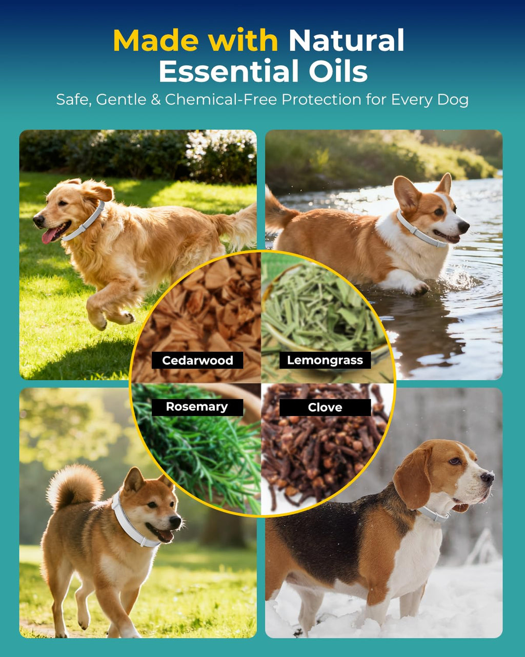 4 Pack Flea and Tick Collar for Small Dogs Under 18 lbs O872