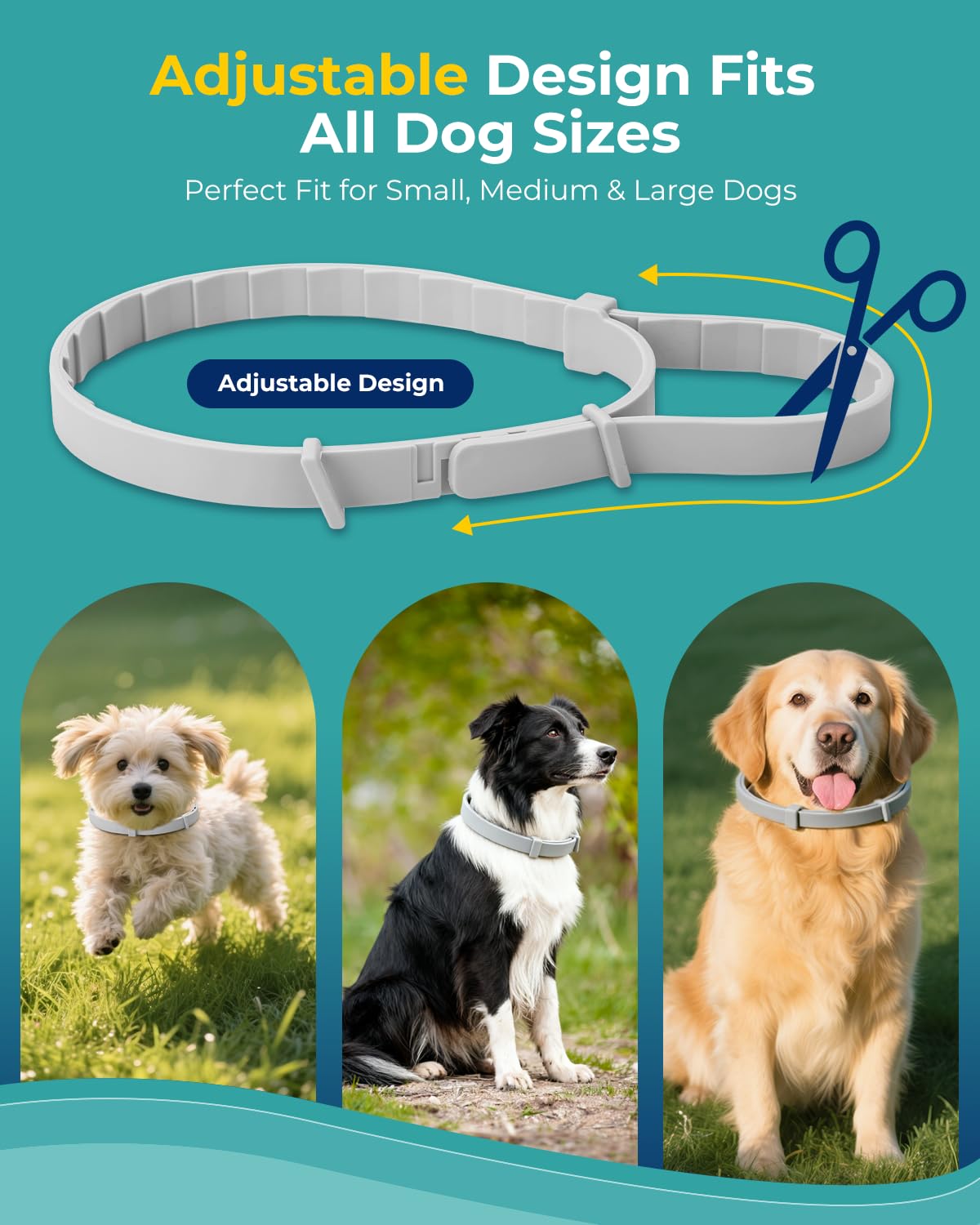 4 Pack Flea and Tick Collar for Small Dogs Under 18 lbs O872