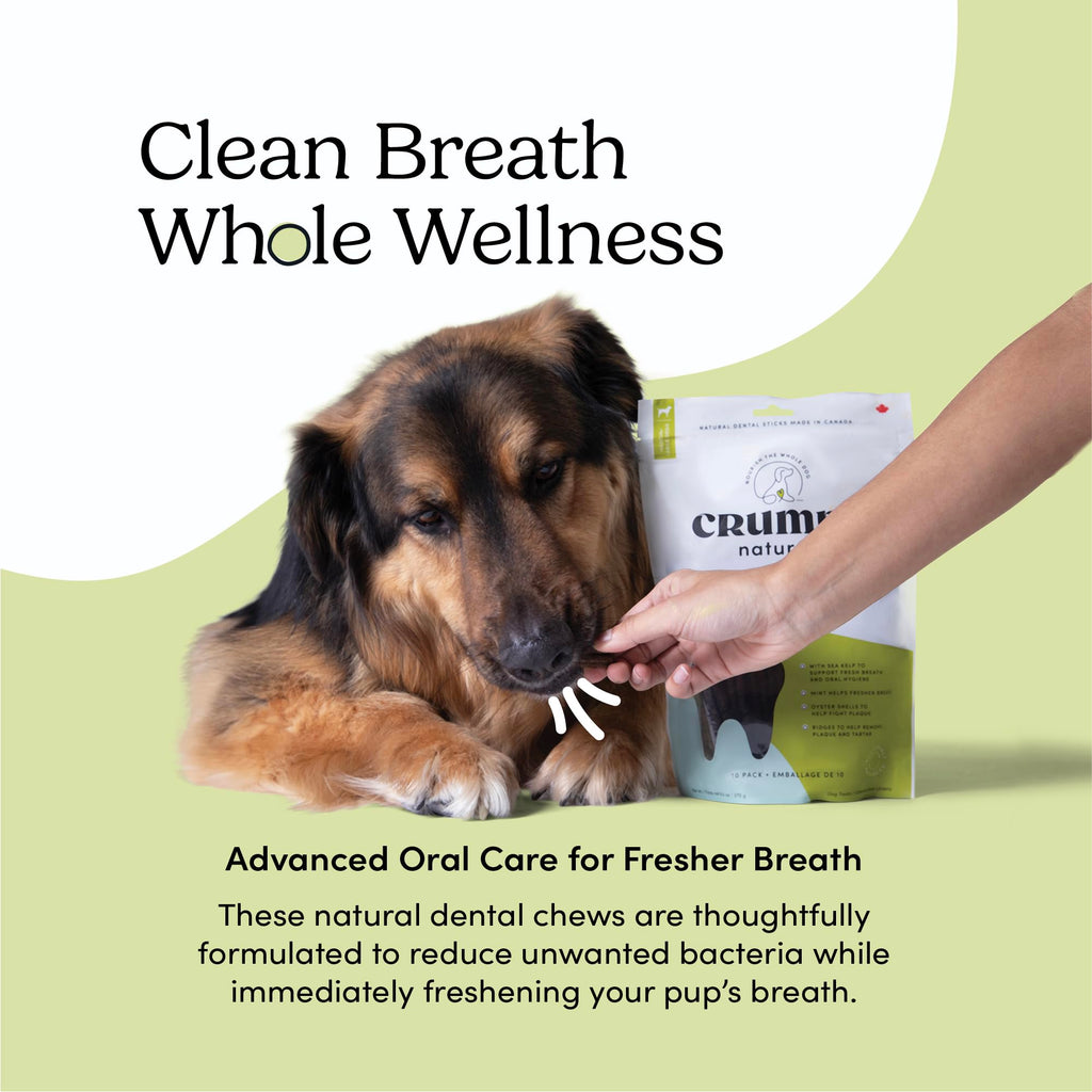 Double Fresh Dental Sticks 9.5oz P177