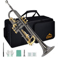 Bb Trumpet Set with Carrying Case, Gloves, 7C Mouthpiece, Tuning Rod, Black Nickel W709