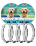 4 Pack Flea and Tick Collar for Small Dogs Under 18 lbs O872