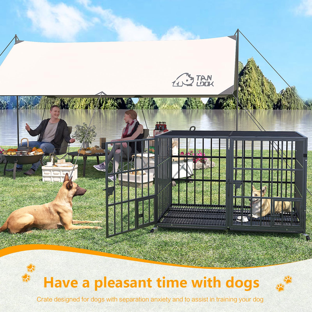 42 Inch Heavy Duty Metal Dog Crate with Divider J353966