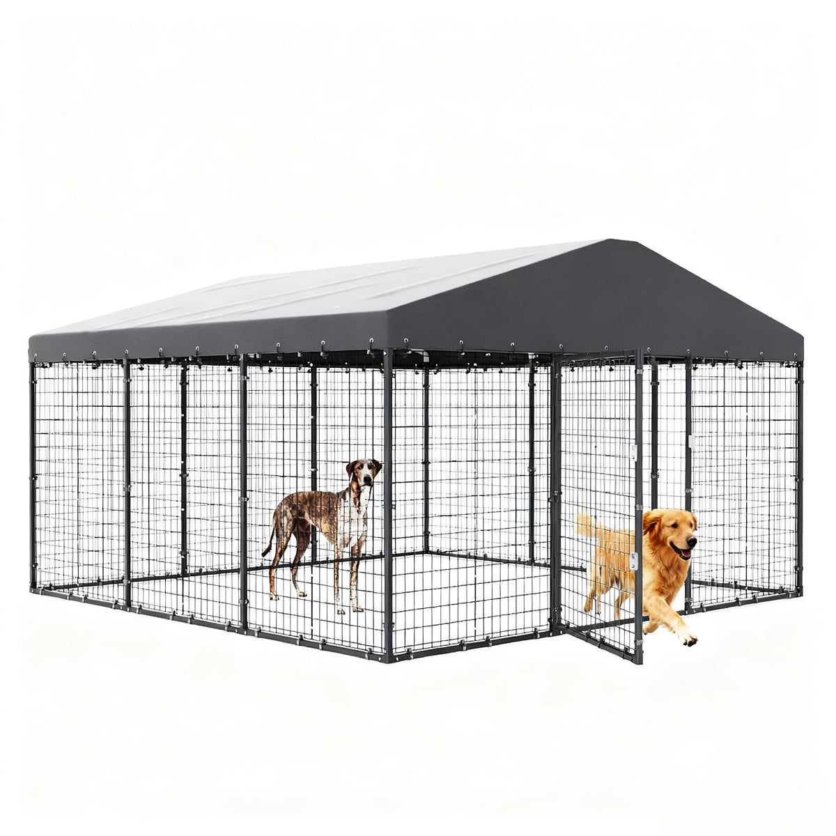 10 x 10 x 6 FT Outdoor Dog Kennel X114069
