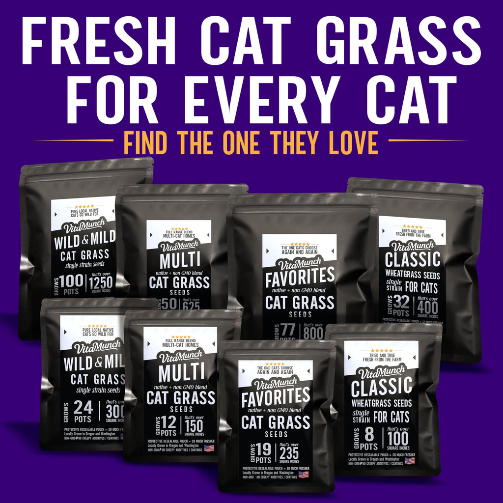 Cat Grass Seed 24 Pots 6 Days Non-GMO N348