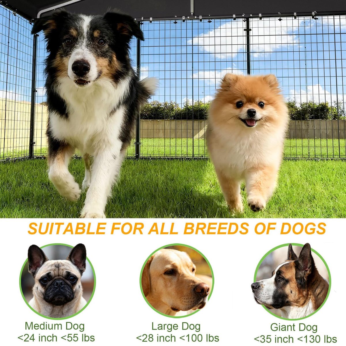 10 x 10 x 6 FT Outdoor Dog Kennel X114069