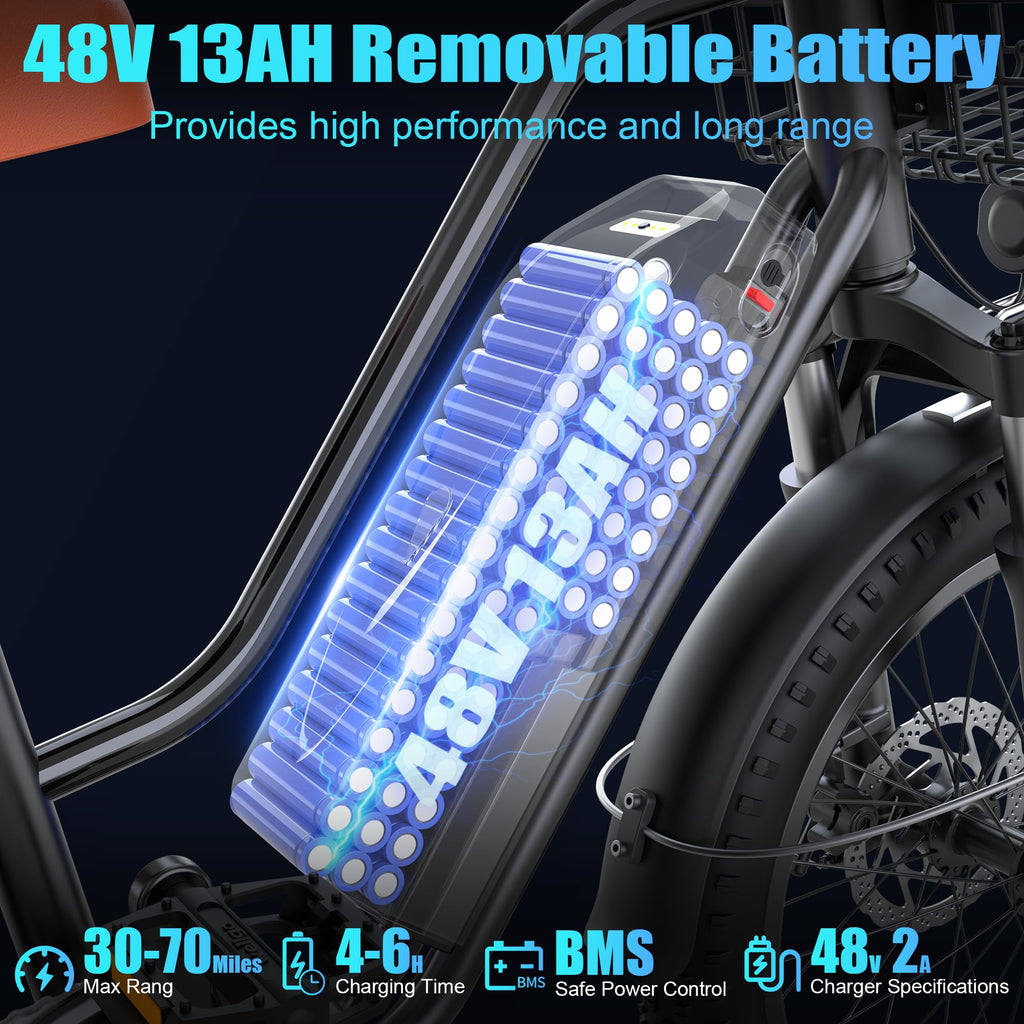 Ebike with Rear Seat & Front Basket D50430