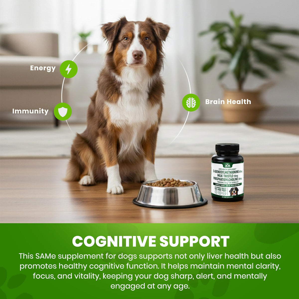 Liver Support Supplement for Large Dogs with Milk Thistle - 30 Chewable Tablets N86587