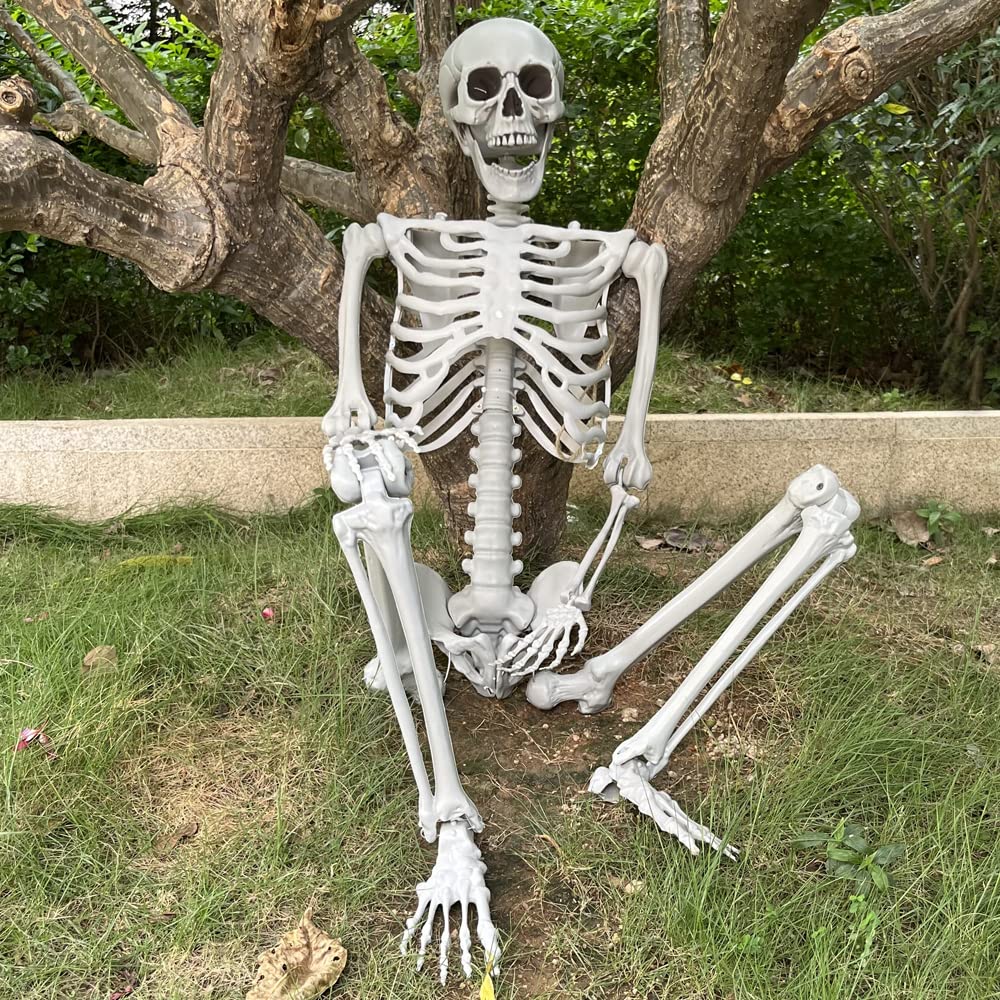 5.4Ft Life Size Skeleton with Movable Joints F92271