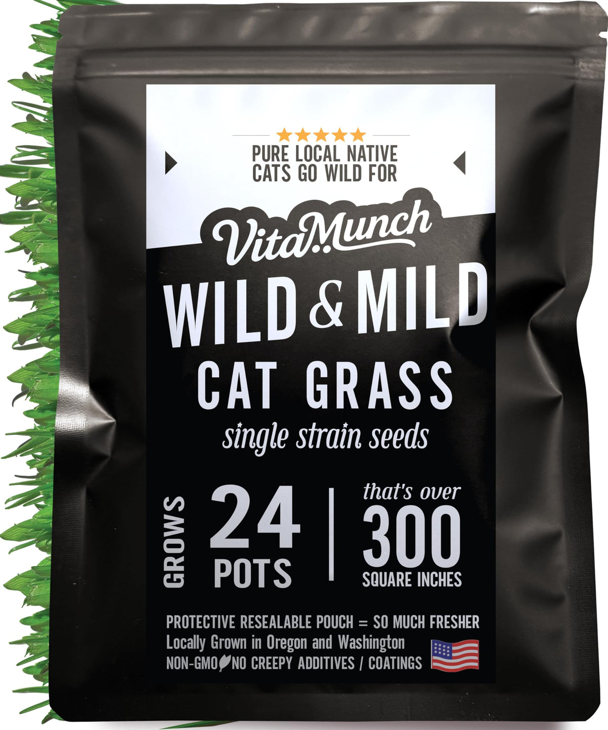Cat Grass Seed 24 Pots 6 Days Non-GMO N348