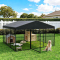 10 x 10 x 6 FT Outdoor Dog Kennel X114069