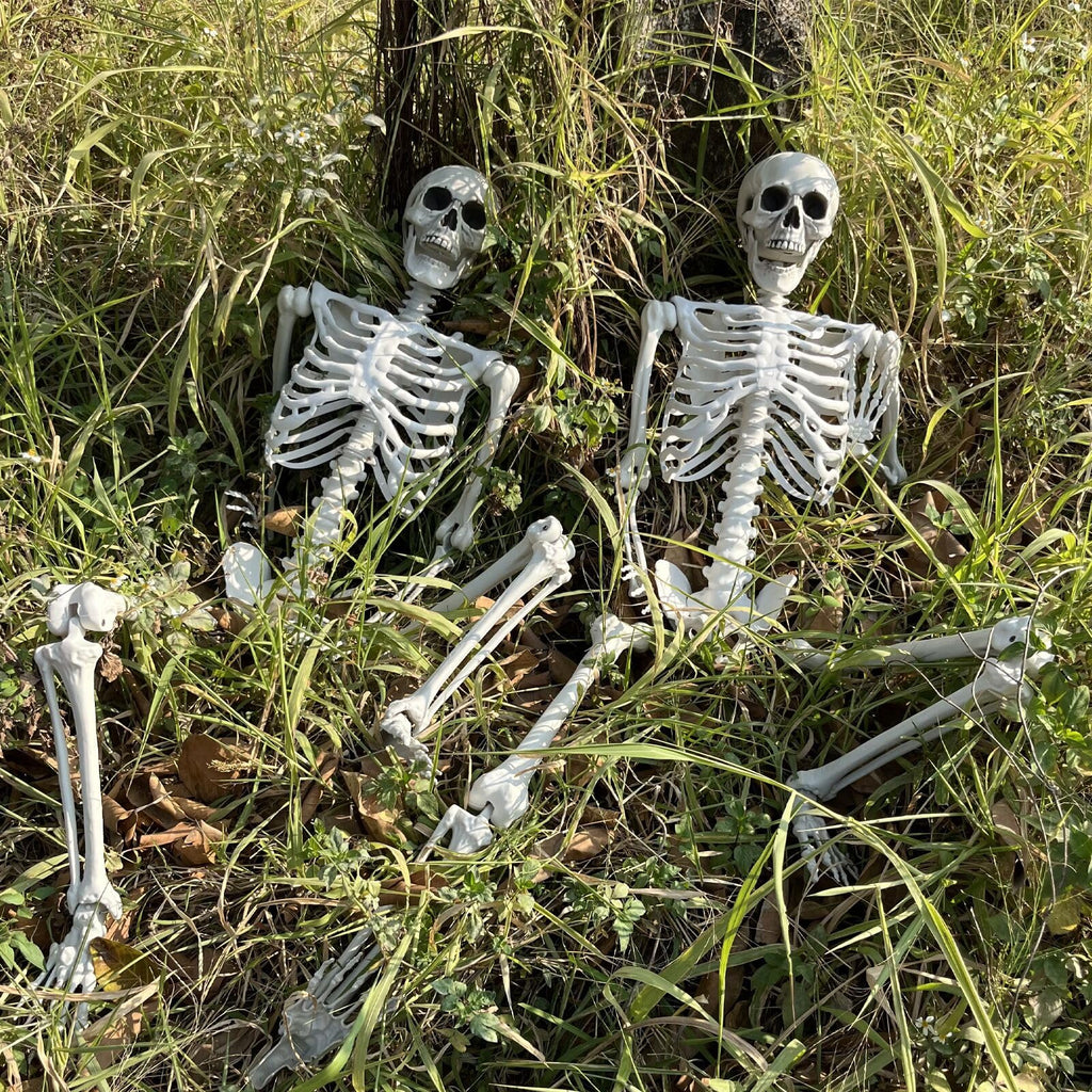 5.4Ft Life Size Skeleton with Movable Joints F92271