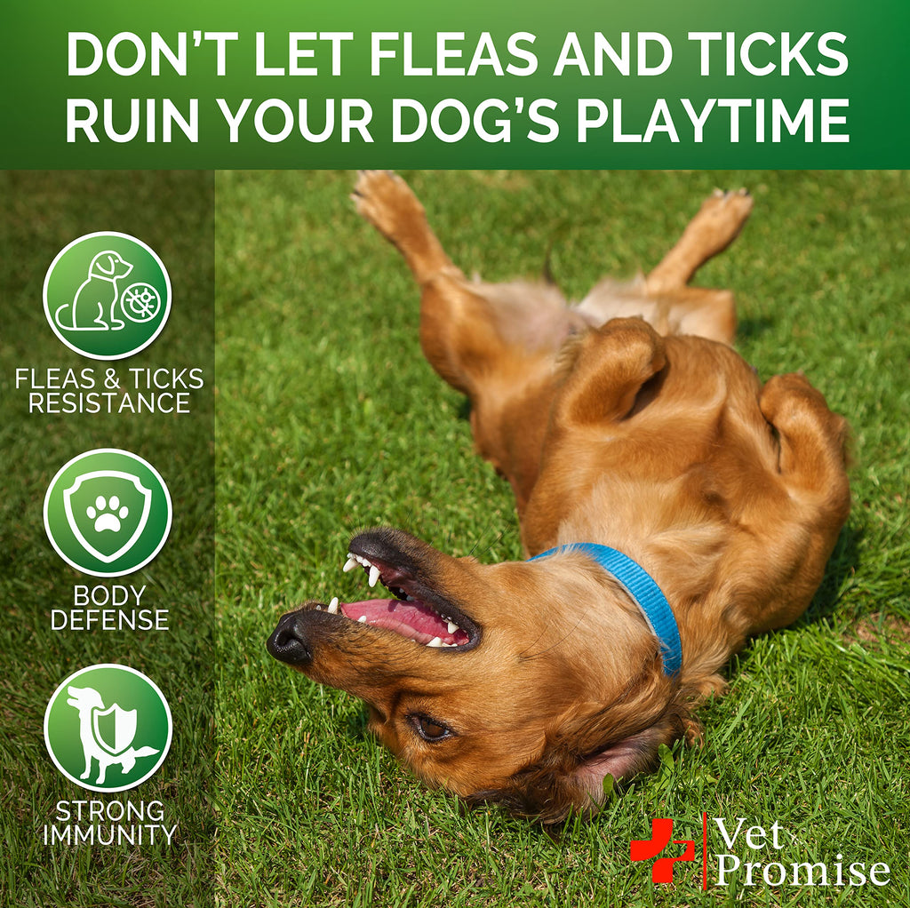 Flea and Tick Prevention for Dogs Chewables D357621